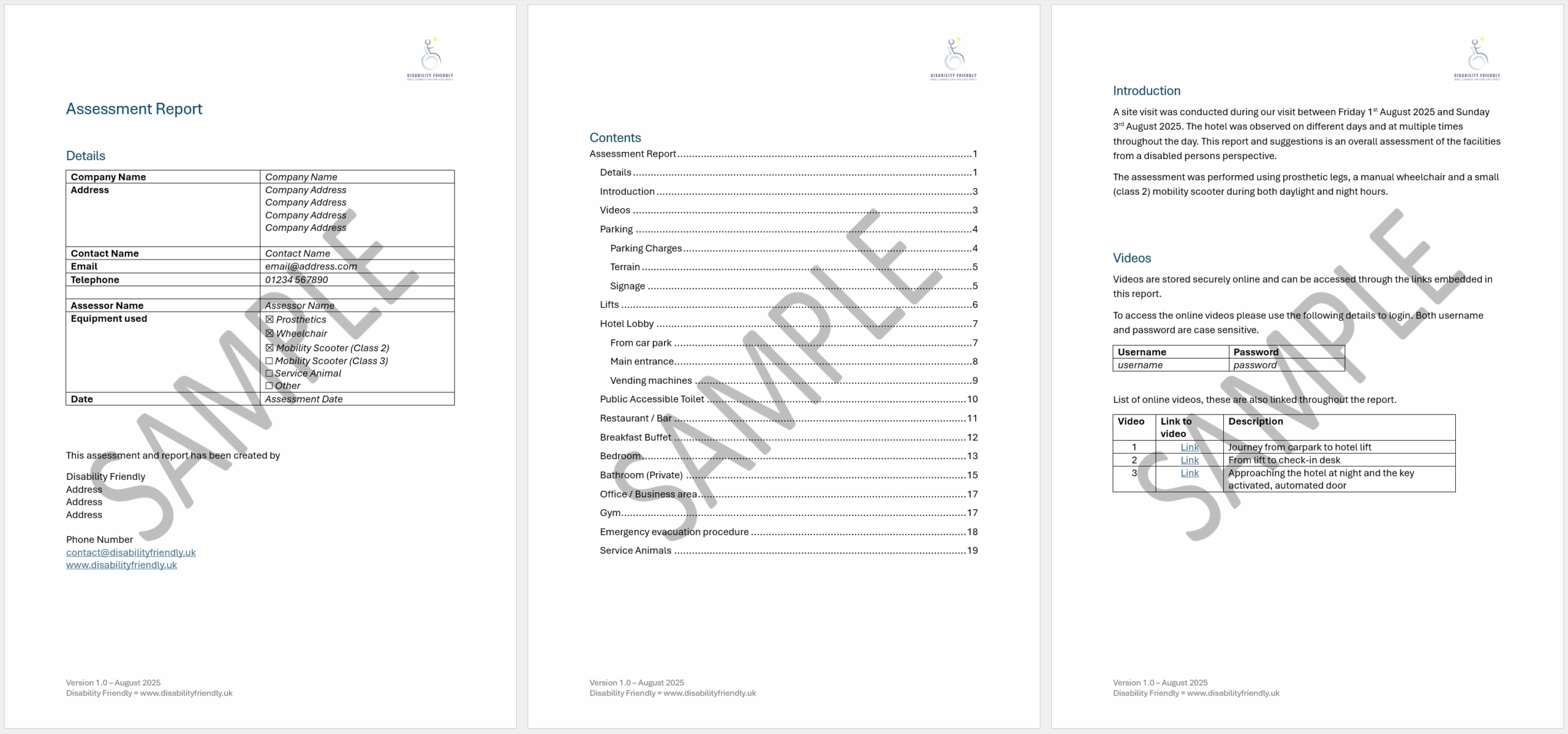 Disability Report Example Example Report - Disability Friendly